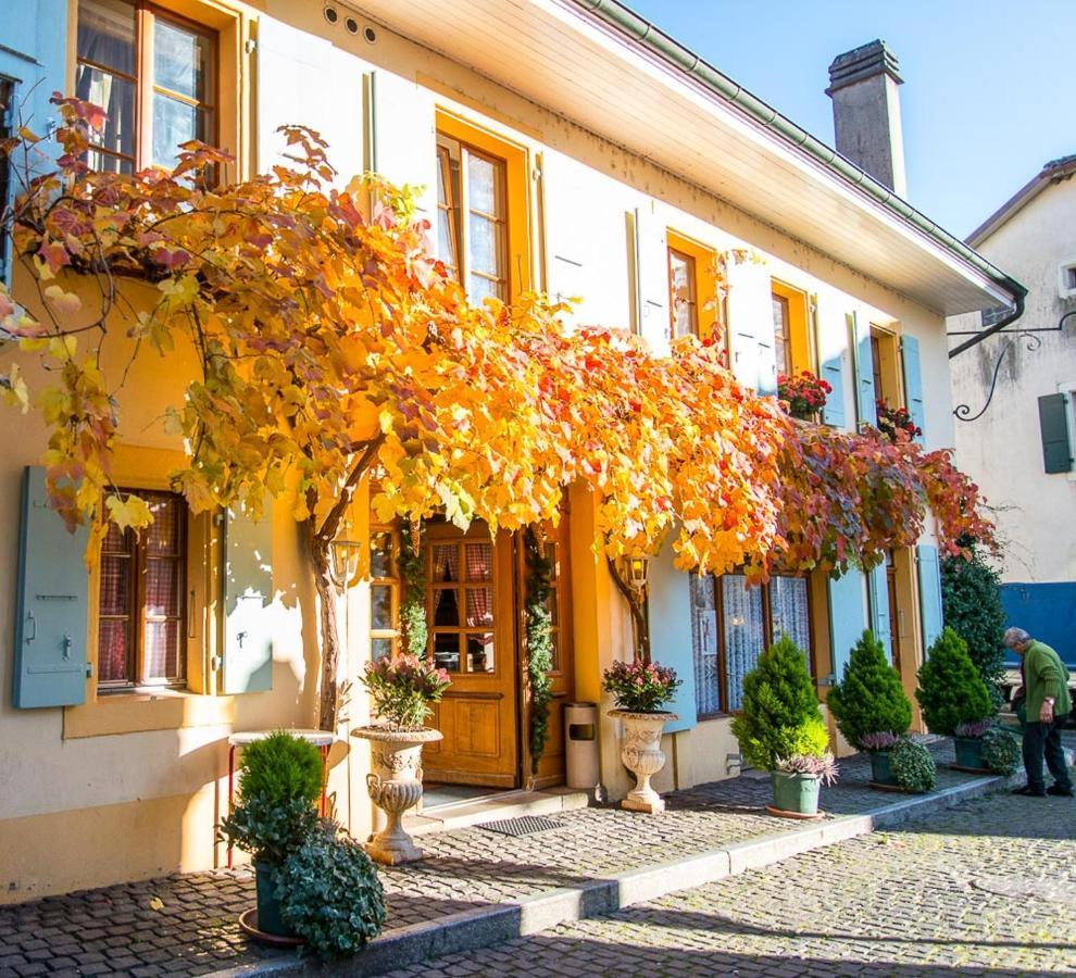Le Cinquante Quatre Apartment Perroy Exterior photo